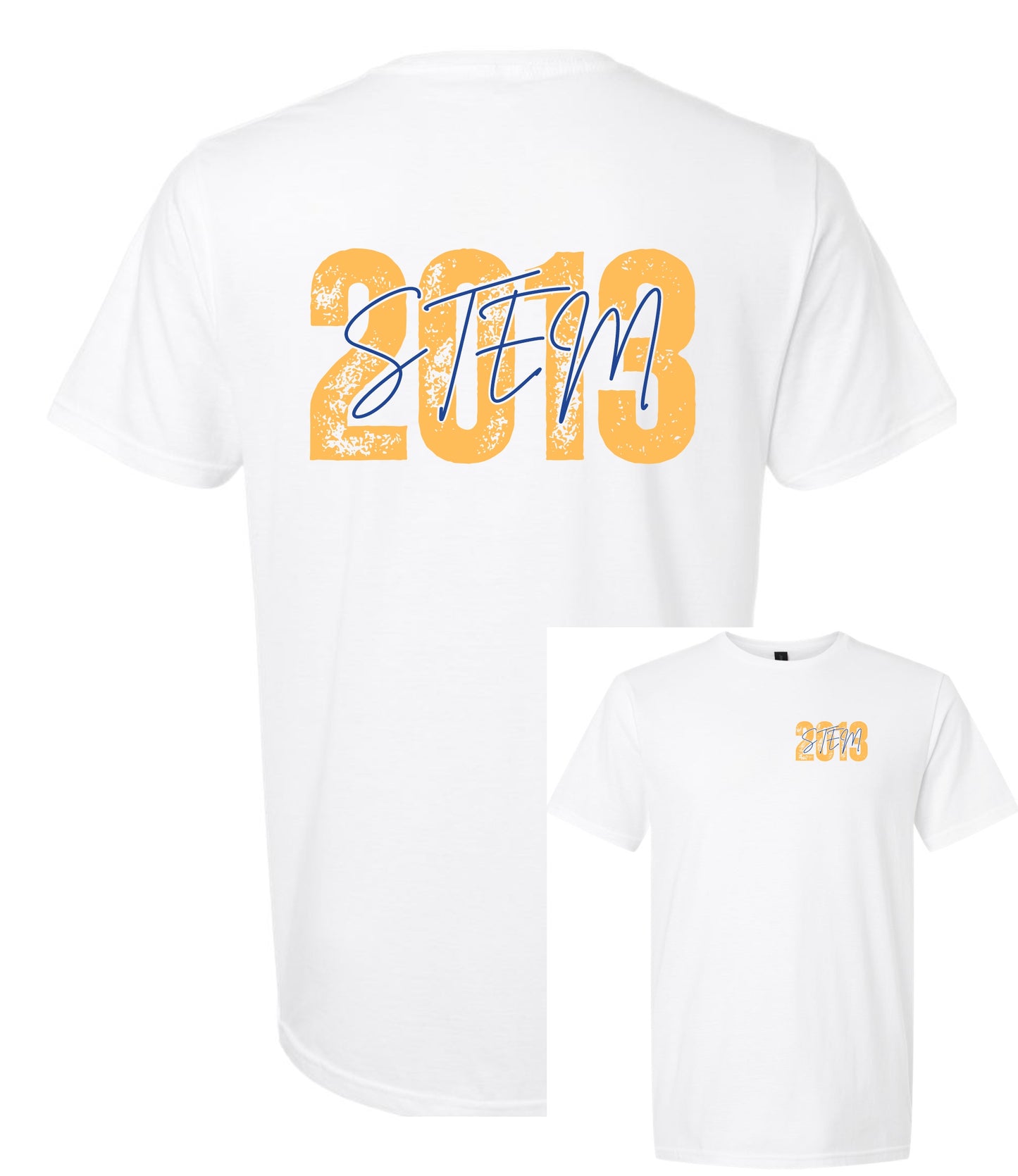 STEM 2013 Softstyle Tshirt - White or Dark Heather Grey